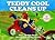 Teddy Cool Cleans Up