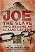 Joe, the Slave Who Became a...