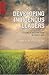 Developing Indigenous Leaders (SEANET Book 10)
