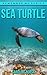 Sea Turtle: Amazing Photos & Fun Facts Book About Sea Turtles For Kids (Remember Me Series)