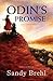 Odin's Promise (Odin's Promise, #1)