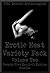 Erotic Heat Variety Pack Volume Two: Twenty-Five Explicit Erotica Stories