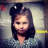 My Little Rabbit My Little Rabbit