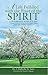 A Life Fulfilled with the Fruit of the Spirit: A Life Transformed by the Fruit of the Spirit