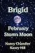 February Storm Moon: Brigid