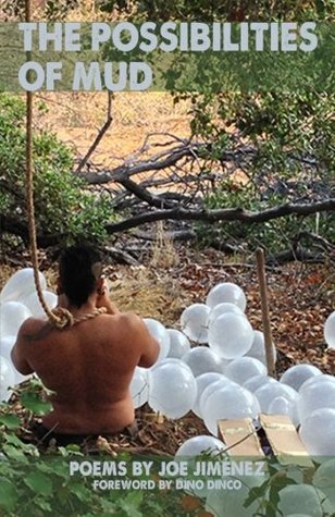 The Possibilities of Mud (Paperback)