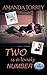Two Is a Lonely Number (Healing Springs, #4)