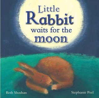 Little Rabbit Waits for the Moon (Hardcover)