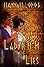Labyrinth Of Lies