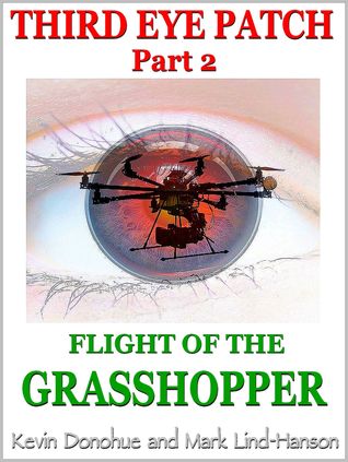Third Eye Patch Part 2 Flight Of The Grasshopper