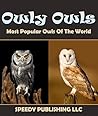 Owly Owls Most Po...