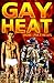 Gay Heat