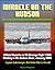 Miracle on the Hudson: Official Reports on US Airways Flight 1549 Ditching in the Hudson River, January 2009, Captain Sullenberger, Bird Strike Risk to Aircraft