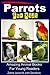 Parrots For Kids Amazing Animal Books For Young Readers