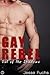 Out of the Shadows (Gay Reb...