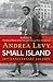 Small Island by Andrea Levy