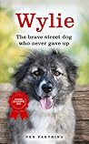 Wylie the Brave Street Dog Who Never Gave Up