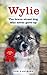 Wylie the Brave Street Dog Who Never Gave Up by Pen Farthing