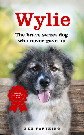 Wylie the Brave Street Dog Who Never Gave Up