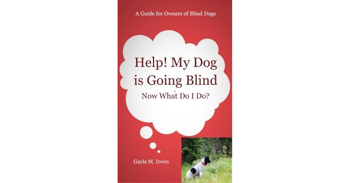 Help! My Dog is Going Blind Now What Do I Do? A Guide for Owners of
