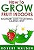 How To Grow Fruit Indoors - Beginners Guide to Growing Amazing Fruit