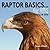 Raptor Basics for Kids by Susan Wood