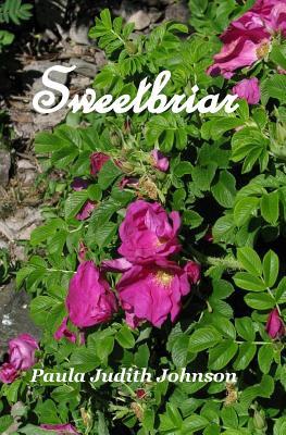 Sweetbriar, A Love Triangle Romance