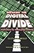 Breaking the Digital Divide: Implications for Developing Countries