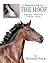 A Modern Look At ... THE HOOF by Monique Craig