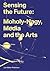 Sensing the Future: Moholy-...