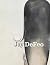 Jay DeFeo
