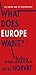 What Does Europe Want?: The Union and Its Discontents