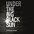 Under the Big Black Sun by Paul Schimmel