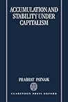 Accumulation and Stability Under Capitalism