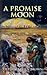 A Promise Moon