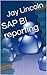 SAP BI reporting