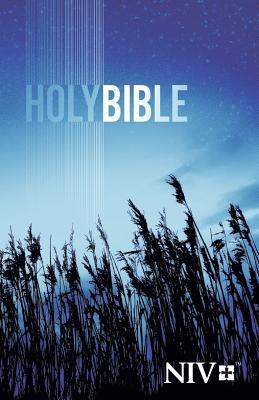 Outreach Bible-NIV