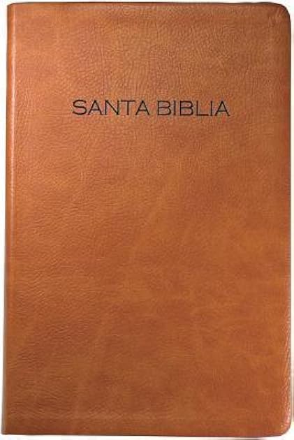 Biblia NVI, Imitación Piel, Café / Spanish Bible NVI, Imitation Leather, Brown (Spanish Edition)
