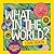 What in the World: Look Again: Fun-tastic Photo Puzzles for Curious Minds (National Geographic Kids)