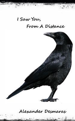 I Saw You, From A Distance