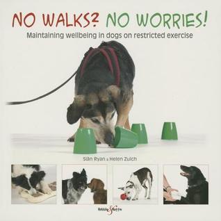 No walks? No worries!: Maintaining wellbeing in dogs on restricted exercise