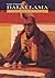Dalai Lama: Spiritual Leade...