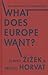 What Does Europe Want?: The Union and Its Discontents (Insurrections: Critical Studies in Religion, Politics, and Culture)