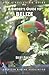 A Birder's Guide to Belize