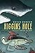 Higgins Hole