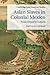 Asian Slaves in Colonial Mexico: From Chinos to Indians (Cambridge Latin American Studies Book 100)