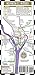 Streetwise Washington DC Metro Map - Laminated Washington DC Metrorail & Mall Map - Pocket Size