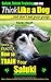 Saluki, Saluki Training AAA AKC | Think Like a Dog, But Don't Eat Your Poop! | Saluki Breed Expert Dog Training |: Here's EXACTLY How To Train Your Saluki