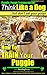 Puggle, Puggle Training AAA AKC: Think Like a Dog, But Don’t Eat Your Poop! | Puggle Breed Expert Training |: Here Is Exactly How To Train Your Puggle