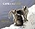 Cats in the Sun 2004 Calendar by Hans Silvester